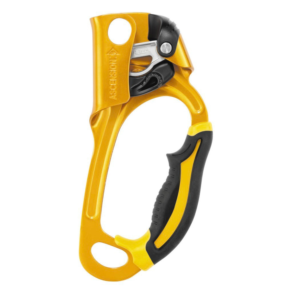Petzl Ascension Right Handed